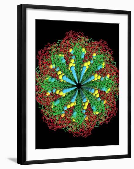 Protein Nanotube-null-Framed Photographic Print