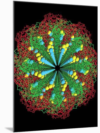 Protein Nanotube-null-Mounted Photographic Print