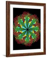 Protein Nanotube-null-Framed Photographic Print