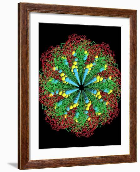 Protein Nanotube-null-Framed Photographic Print