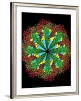 Protein Nanotube-null-Framed Photographic Print
