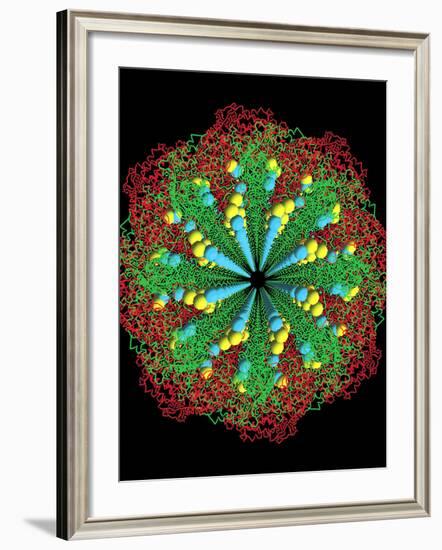 Protein Nanotube-null-Framed Photographic Print