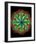 Protein Nanotube-null-Framed Photographic Print