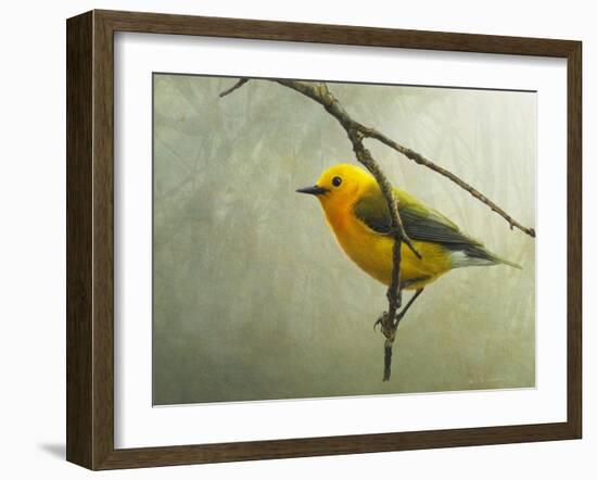 Prothonotary Warbler-Chris Vest-Framed Art Print