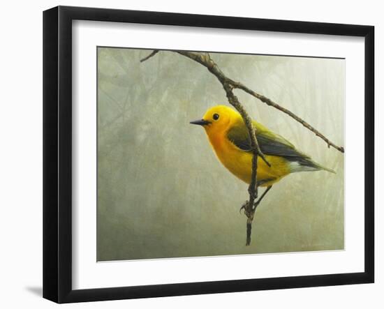 Prothonotary Warbler-Chris Vest-Framed Art Print