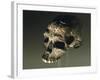 Proto Cro-Magnon Type Skull of Homo Sapiens, from Qafzeh, Israel-null-Framed Giclee Print