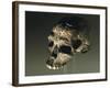 Proto Cro-Magnon Type Skull of Homo Sapiens, from Qafzeh, Israel-null-Framed Giclee Print