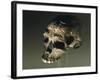 Proto Cro-Magnon Type Skull of Homo Sapiens, from Qafzeh, Israel-null-Framed Giclee Print