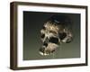 Proto Cro-Magnon Type Skull of Homo Sapiens, from Qafzeh, Israel-null-Framed Giclee Print