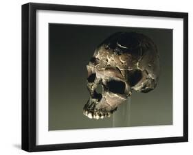 Proto Cro-Magnon Type Skull of Homo Sapiens, from Qafzeh, Israel-null-Framed Giclee Print