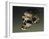 Proto Cro-Magnon Type Skull of Homo Sapiens, from Qafzeh, Israel-null-Framed Giclee Print