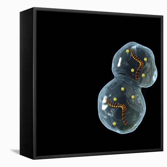 Protocell Proliferation, Artwork-Henning Dalhoff-Framed Stretched Canvas