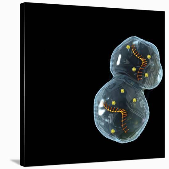 Protocell Proliferation, Artwork-Henning Dalhoff-Stretched Canvas