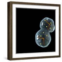 Protocell Proliferation, Artwork-Henning Dalhoff-Framed Premium Photographic Print