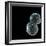 Protocell Proliferation, Artwork-Henning Dalhoff-Framed Premium Photographic Print