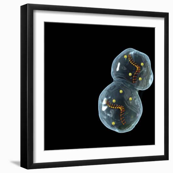 Protocell Proliferation, Artwork-Henning Dalhoff-Framed Premium Photographic Print