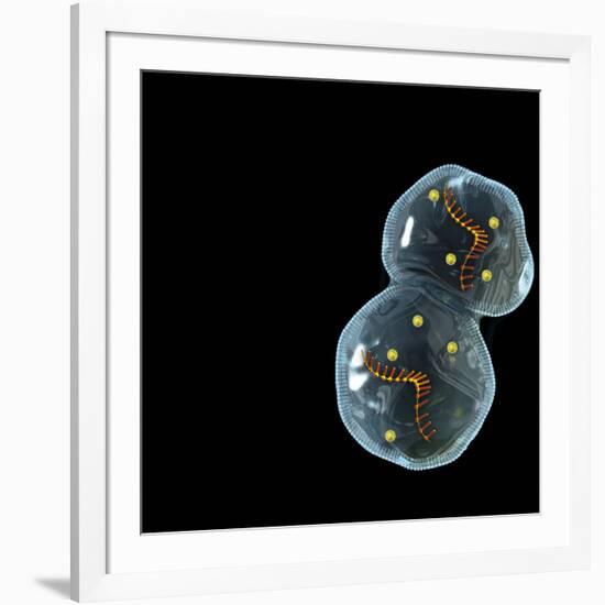 Protocell Proliferation, Artwork-Henning Dalhoff-Framed Photographic Print