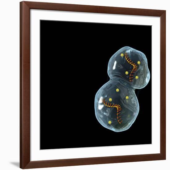 Protocell Proliferation, Artwork-Henning Dalhoff-Framed Photographic Print