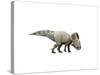 Protoceratops Dinosaur-null-Stretched Canvas