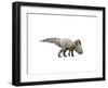 Protoceratops Dinosaur-null-Framed Art Print