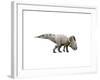 Protoceratops Dinosaur-null-Framed Art Print