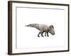 Protoceratops Dinosaur-null-Framed Art Print