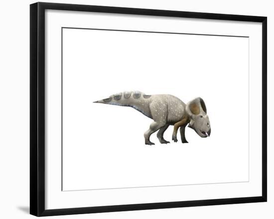 Protoceratops Dinosaur-null-Framed Art Print