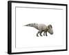 Protoceratops Dinosaur-null-Framed Art Print