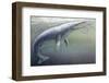 Protocetus-null-Framed Photographic Print