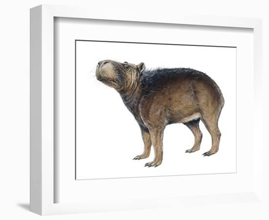 Protohydrochoerus Giant Capybara-null-Framed Photographic Print