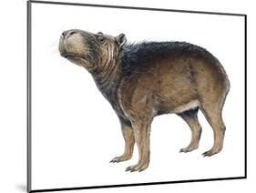 Protohydrochoerus Giant Capybara-null-Mounted Photographic Print