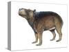 Protohydrochoerus Giant Capybara-null-Stretched Canvas
