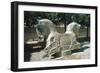 Protome of a Double Horse, the Apadana, Persepolis, Iran-Vivienne Sharp-Framed Photographic Print