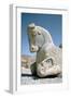 Protome of a Horse, the Apadana, Persepolis, Iran-Vivienne Sharp-Framed Photographic Print