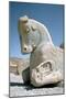 Protome of a Horse, the Apadana, Persepolis, Iran-Vivienne Sharp-Mounted Photographic Print