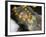 Protrait of One of India's Most Celebrated 18th Centure Female Rulers, India-Robert Harding-Framed Photographic Print