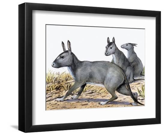 Premium Photographic Print, , large