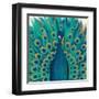 Proud as a Peacock I-Veronique Charron-Framed Art Print