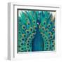 Proud as a Peacock I-Veronique Charron-Framed Art Print