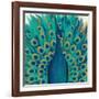 Proud as a Peacock I-Veronique Charron-Framed Art Print