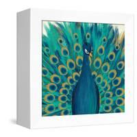 Proud as a Peacock I-Veronique Charron-Framed Stretched Canvas