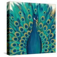 Proud as a Peacock I-Veronique Charron-Stretched Canvas