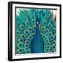 Proud as a Peacock I-Veronique Charron-Framed Premium Giclee Print