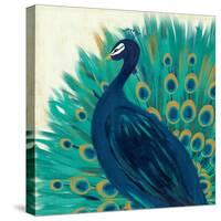 Proud as a Peacock II-Veronique Charron-Stretched Canvas