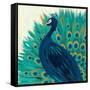 Proud as a Peacock II-Veronique Charron-Framed Stretched Canvas