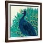 Proud as a Peacock II-Veronique Charron-Framed Art Print