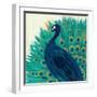 Proud as a Peacock II-Veronique Charron-Framed Art Print