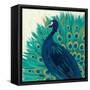 Proud as a Peacock II-Veronique Charron-Framed Stretched Canvas