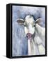 Proud Cattle 1-Doris Charest-Framed Stretched Canvas