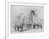 Proud Ewe, 2012-Helen White-Framed Giclee Print